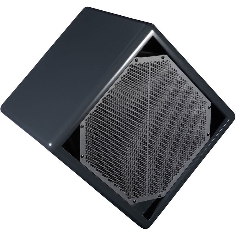 BASSBOSS Diamon 12'' Passive Coax Speaker - Gloss Charcoal