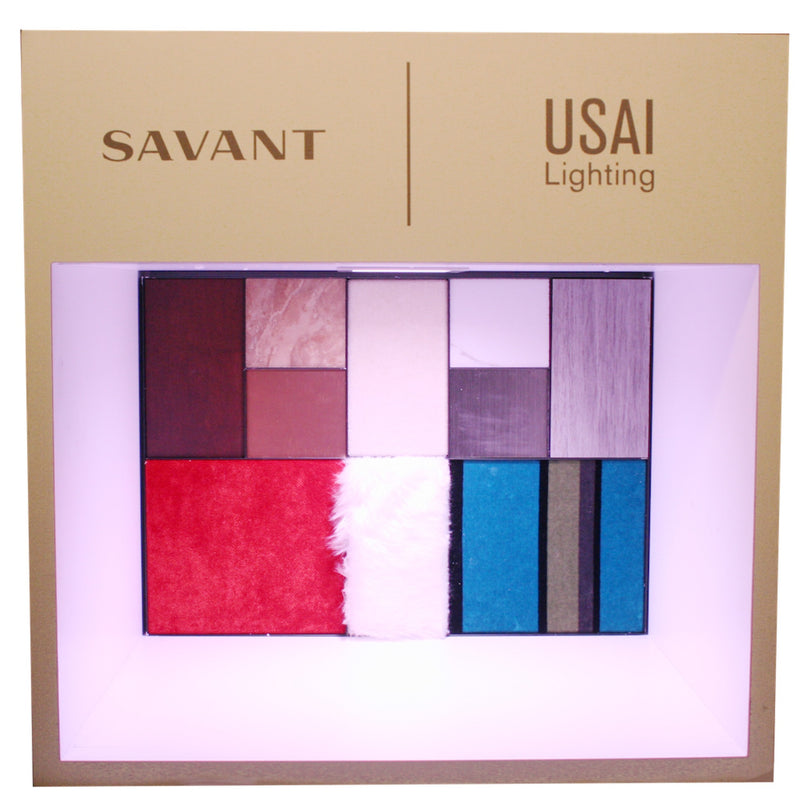 Savant Light Matters Portable Demo Kit