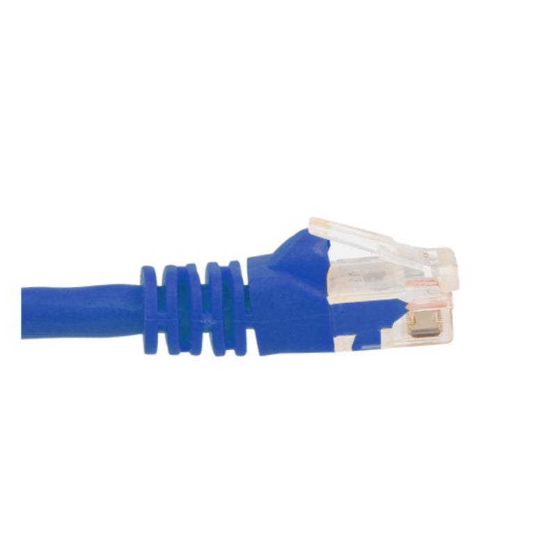 Wirepath WP-PC-CAT6-2FT-BLU