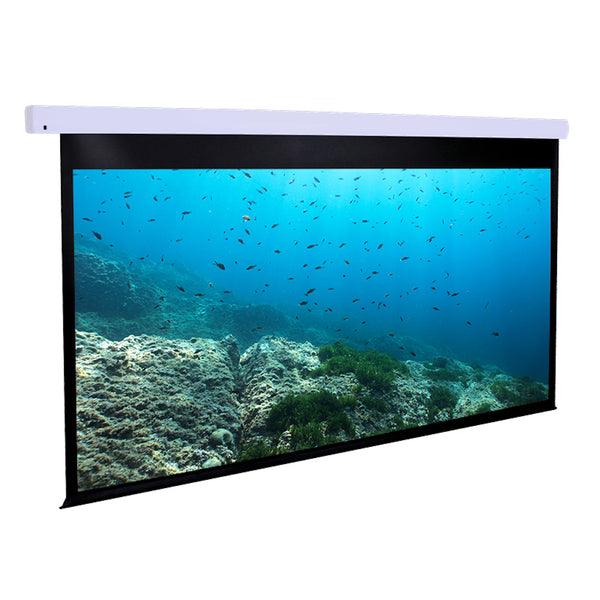 Dragonfly DFM-NTT-110-MW Motorized Projection Screen