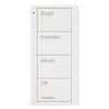 LUTRON PJ2-4B-GXX-P01 - 4 button with Family Room Scenes