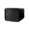 Void Acoustics CYCLONE BASS Subwoofer